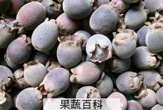 豆念果的功效和作用