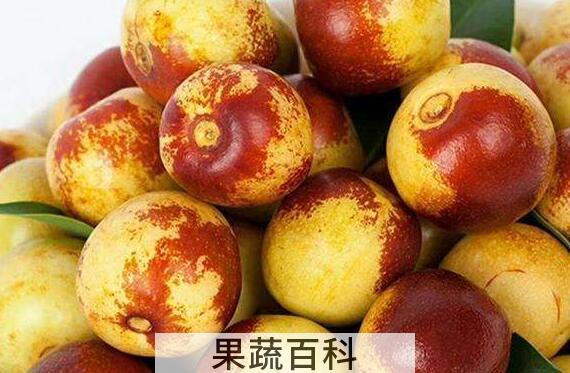 北枣的功效与作用禁忌