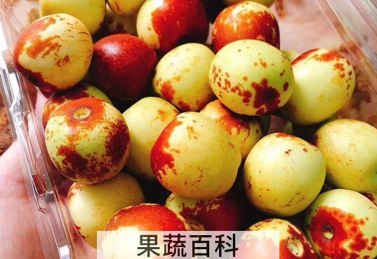 北枣的功效与作用禁忌