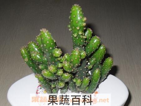 万重山有什么功效