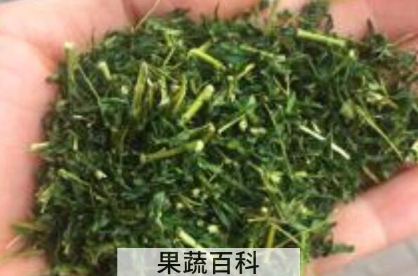 相思茶什么人不能喝 相思茶的禁忌