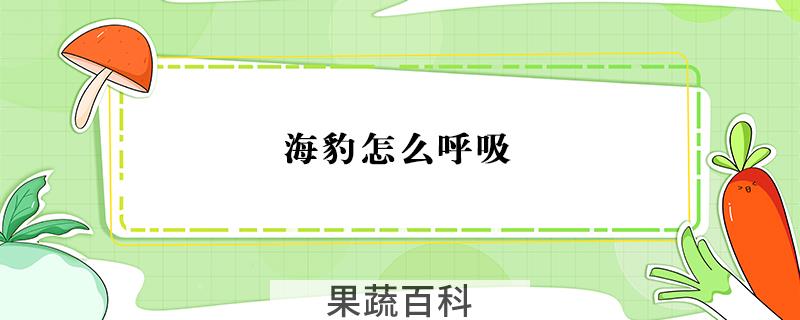 海豹怎么呼吸
