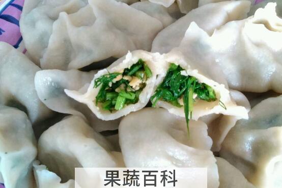 茴香饺子的功效与作用