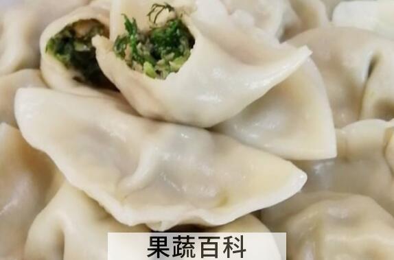 茴香饺子的功效与作用