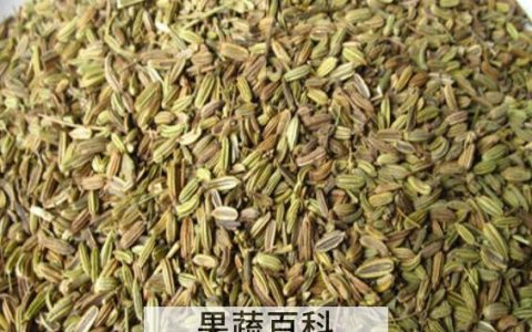茴香籽炒菜的功效与作用 茴香籽炒菜的好处有哪些