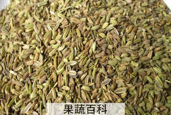 茴香籽炒菜的功效与作用