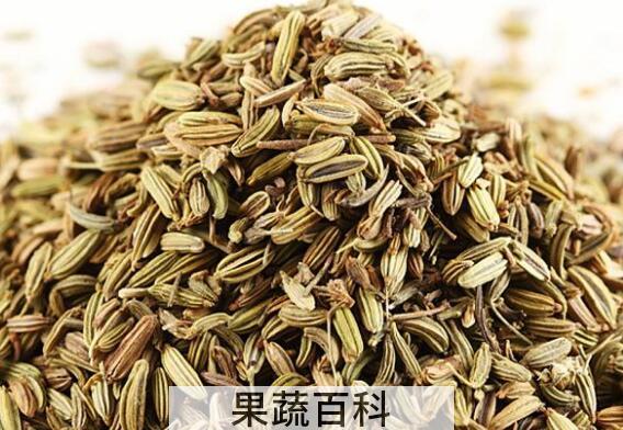 茴香籽炒菜的功效与作用