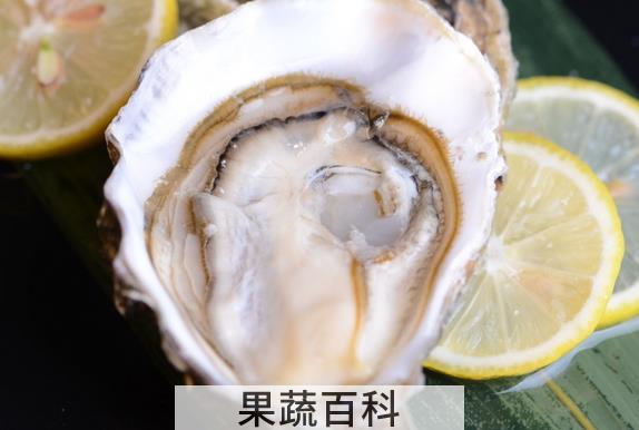 果蔬百科生蚝的功效与作用