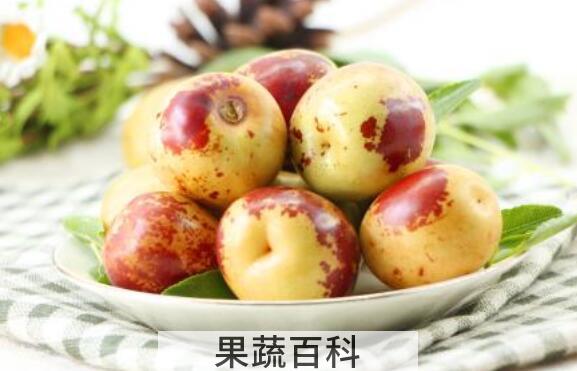 冬枣的功效与作用禁忌