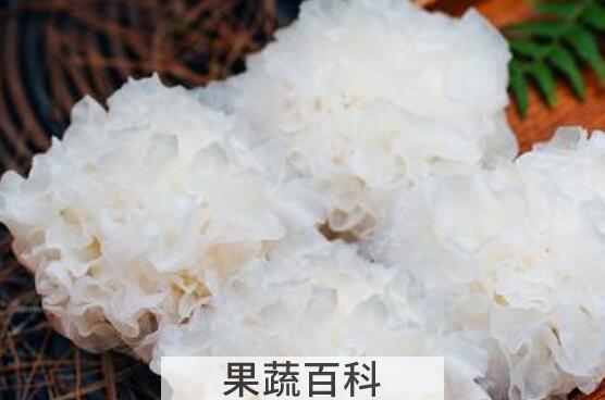 银耳为什么不能天天吃 吃银耳的副作用与禁忌
