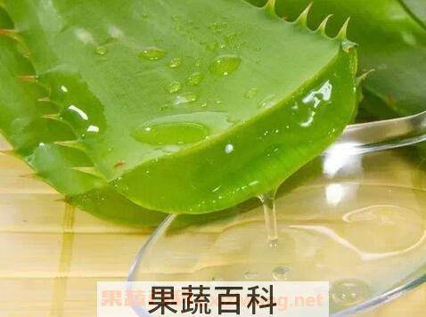 芦荟胶的功效与作用 芦荟胶的药用价值