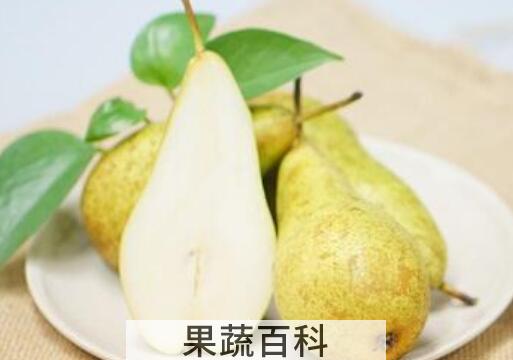 啤梨的功效与作用 吃啤梨的好处有哪些
