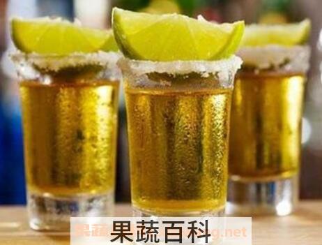 龙舌兰酒怎么喝