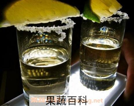 龙舌兰酒怎么喝