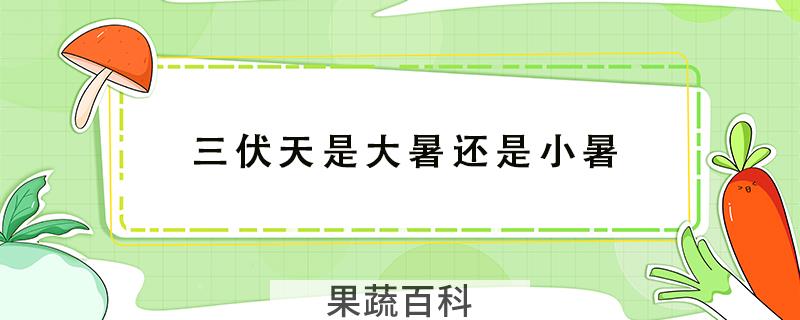三伏天是大暑还是小暑