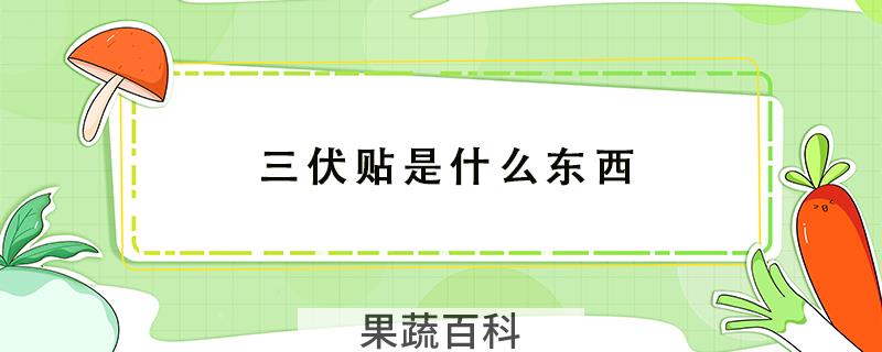 三伏贴是什么东西
