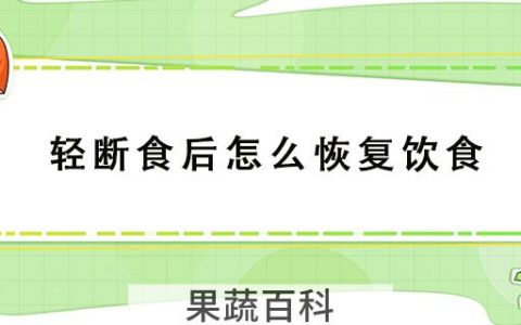 轻断食后怎么恢复饮食
