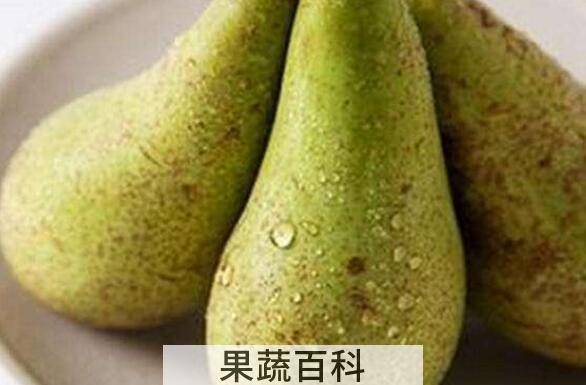 啤梨怎么吃 啤梨什么时候吃最好