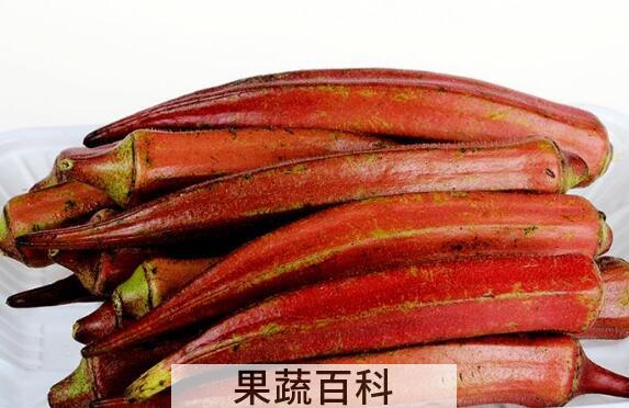 红色秋葵的做法及功效