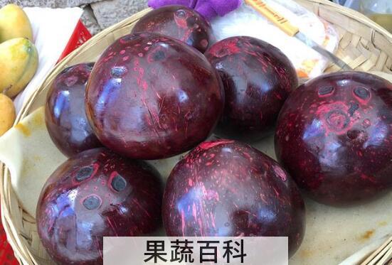 红椰子的功效与作用