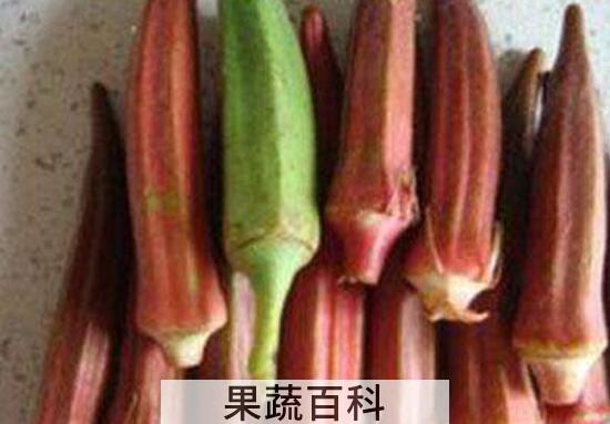 红秋葵怎么吃 红秋葵的做法教程