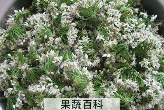 韭菜花的功效与作用 吃韭菜花的好处