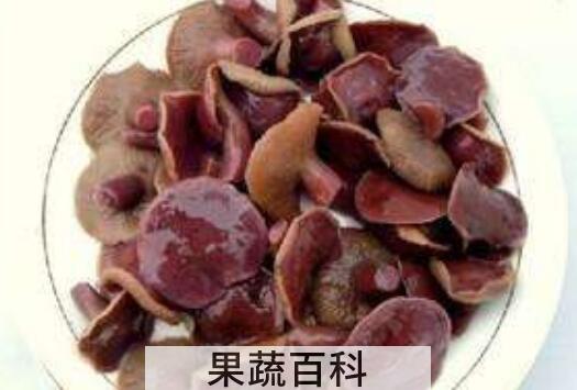 红乳菌的功效和作用