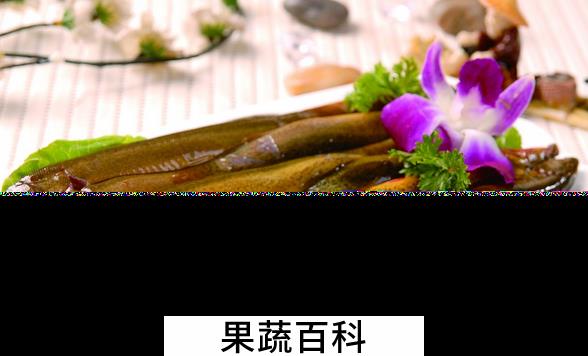 果蔬百科泥鳅的药用价值与功效