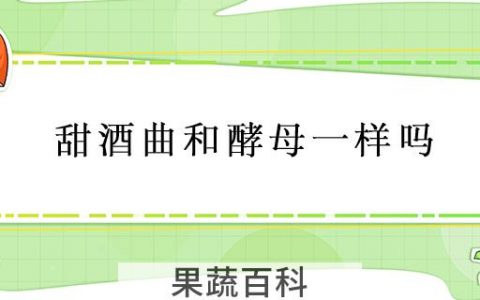 甜酒曲和酵母一样吗