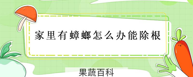家里有蟑螂怎么办能除根