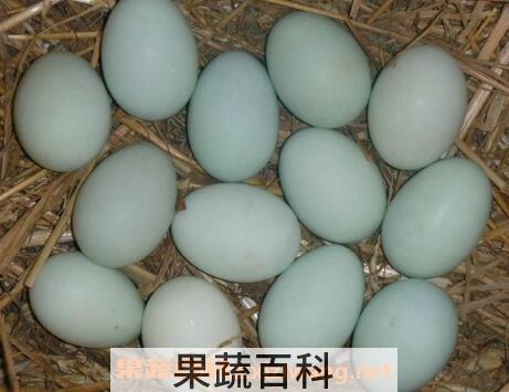 哪些食物相克容易中毒