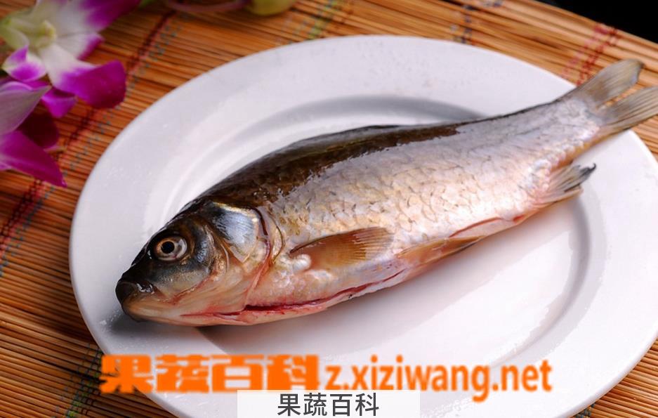 果蔬百科鲫鱼怎么吃 鲫鱼的营养价值及功效 