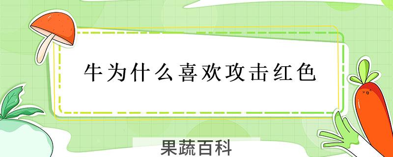 牛为什么喜欢攻击红色