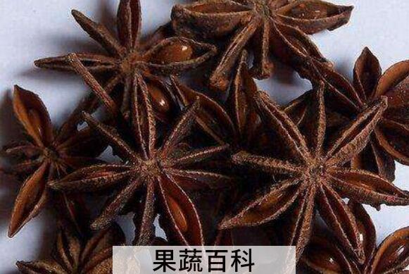 八角和假八角的区别 八角的功效与作用