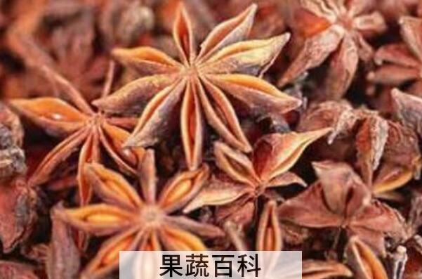 八角和假八角的区别 八角的功效与作用