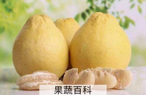 药柚子的功效与作用