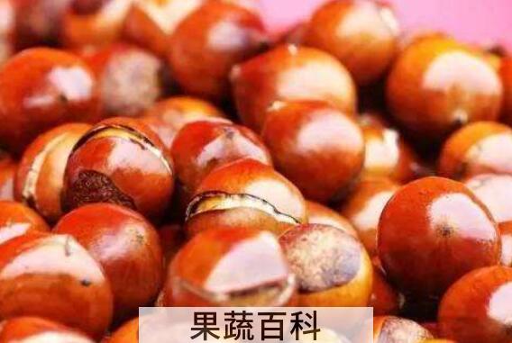 熟板栗怎么保存 煮熟板栗的保存最有效方法