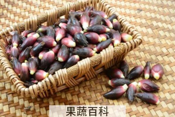 洋合笋怎么做腌制泡菜 洋合笋怎么炒来好吃