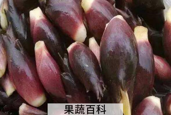 洋荷姜什么人不能吃 洋荷姜的副作用与禁忌