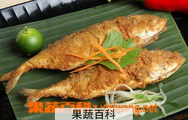 果蔬百科鱼肉怎么做好吃