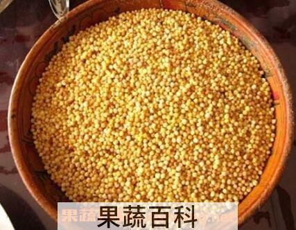  炒米怎么吃减肥效果好