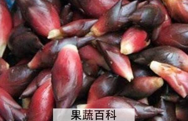阳荷怎么做泡菜 阳荷泡菜的制作方法