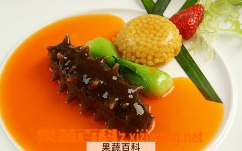 鲍汁海参做法大全及步骤 鲍汁海参的营养价值