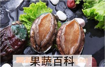 果蔬百科新鲜鲍鱼的做法大全