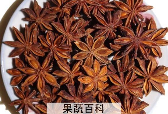 八角茴香怎么吃 八角茴香的食用方法