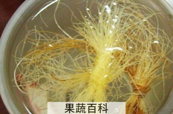 玉米须泡水的副作用有哪些 什么人不宜喝玉米须水