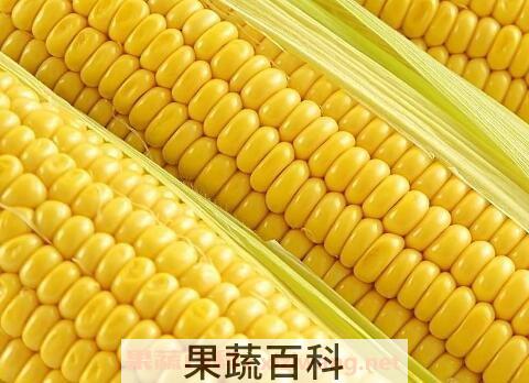 血糖高吃什么好