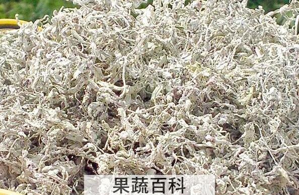 莓茶的功效与作用 莓茶不适合什么人喝