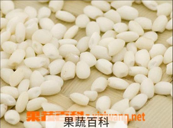 果蔬百科粳米和糯米的区别