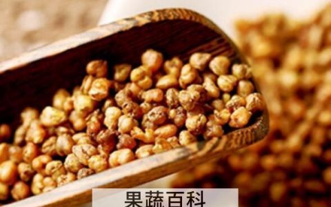 长期喝苦荞茶的副作用与危害